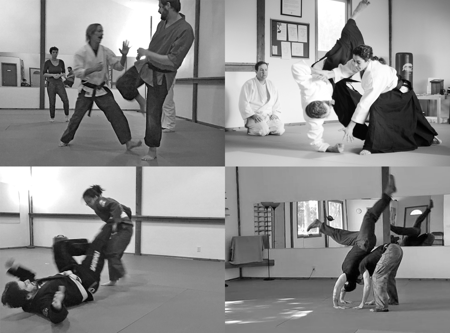 dmaf-classes-programs-dmaf-martial-arts-fitness